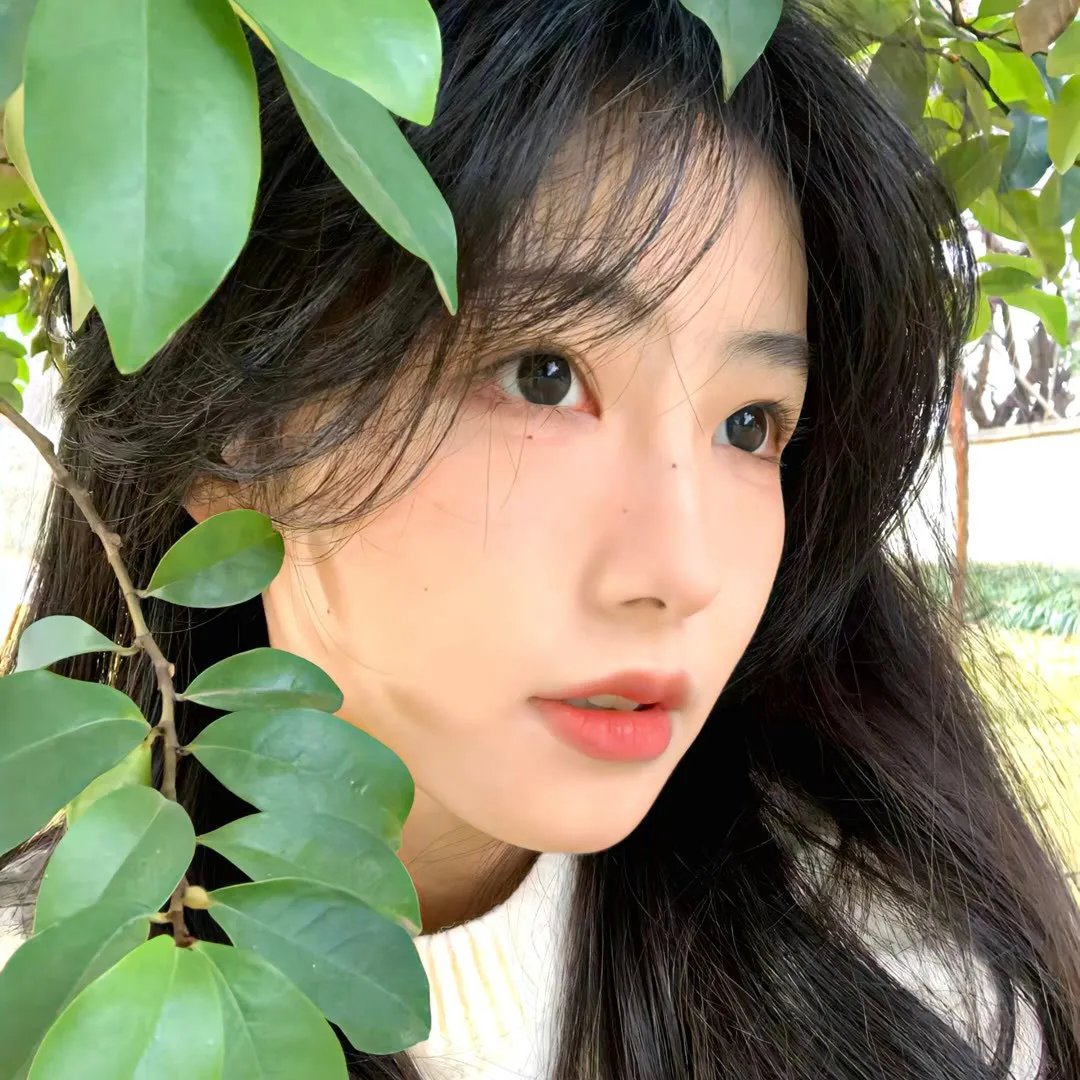 模犯生